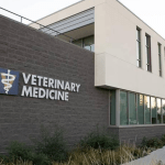 The 20 Best Veterinary Schools in USA For 2023
