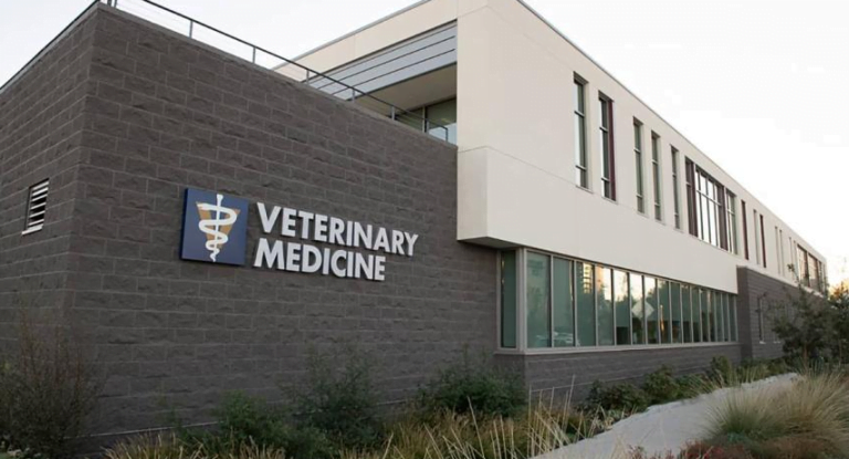 Vet School Rankings Australia