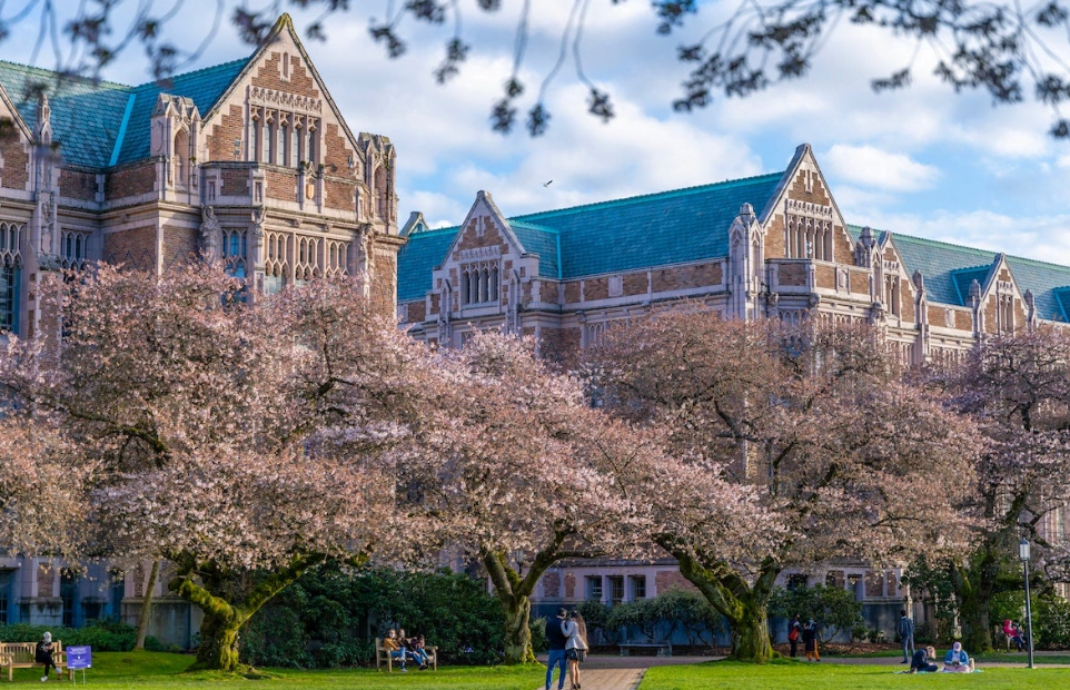 Top 10 Best Colleges Washington State Of 2024 A Guide To Higher