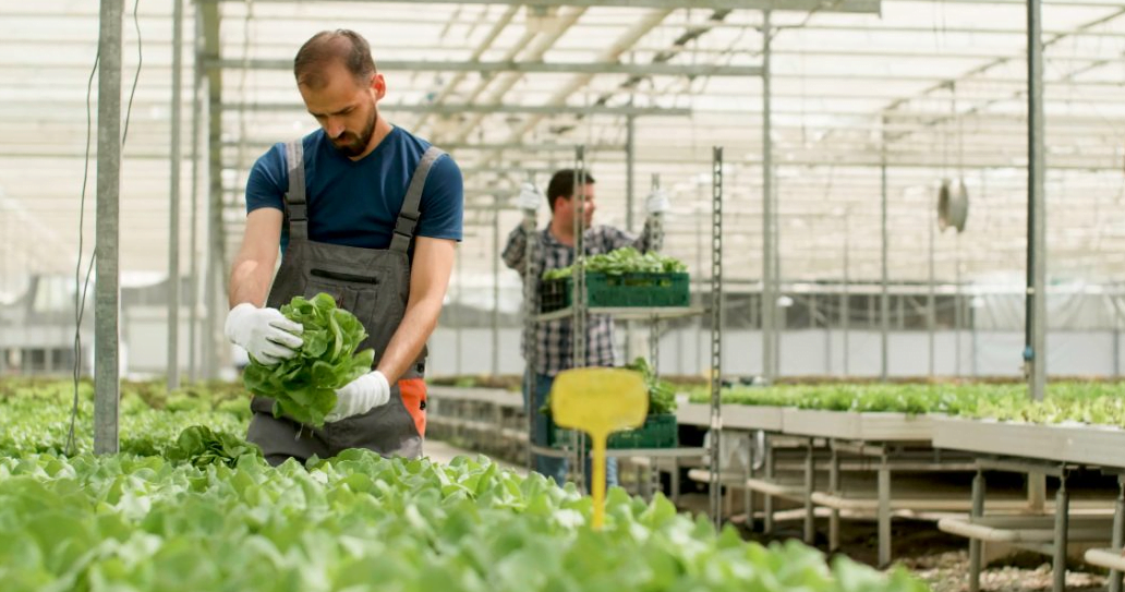 best paying jobs in agricultural chemicals