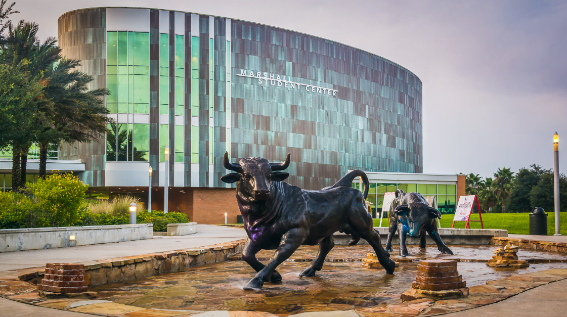 Cheapest Out Of State Tuition Exploring Affordable Opportunities