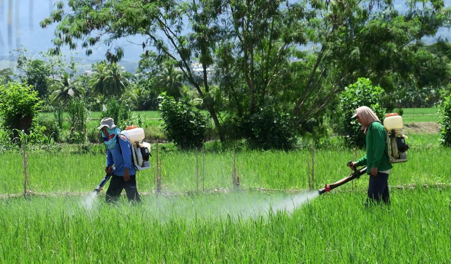 Is Agricultural Chemicals a Good Career Path: Exploring Opportunities in the Agricultural Chemical Industry is agricultural chemicals a good career path