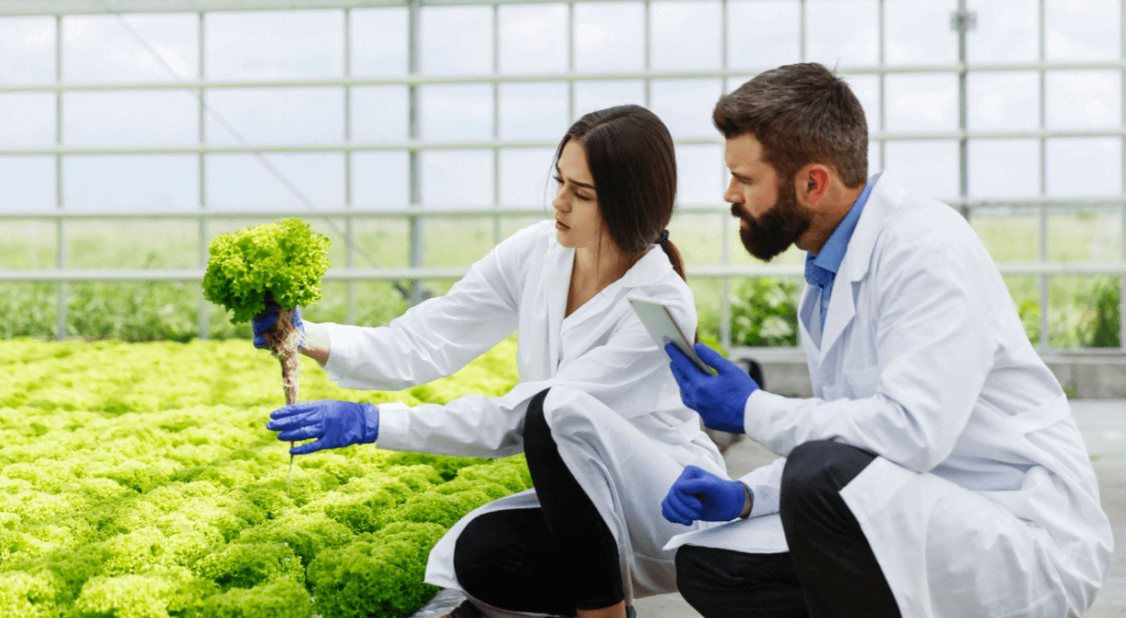 best paying jobs in farming/seeds/milling
