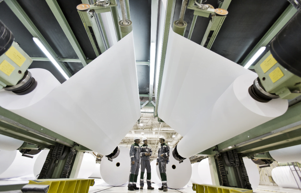 Is Paper a Good Career Path