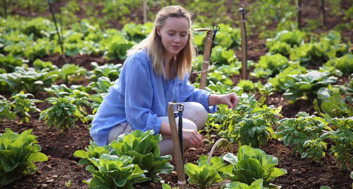 how many jobs are available in farming/seeds/milling