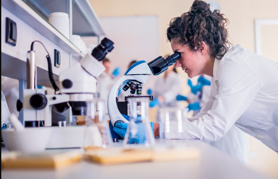 is major pharmaceuticals a good career path