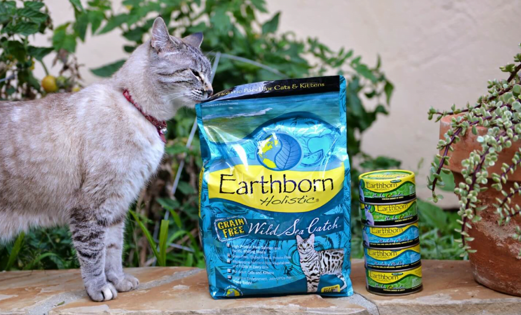 Can You Get Cat Food With EBT? Exploring EBT Eligibility For Pet Food