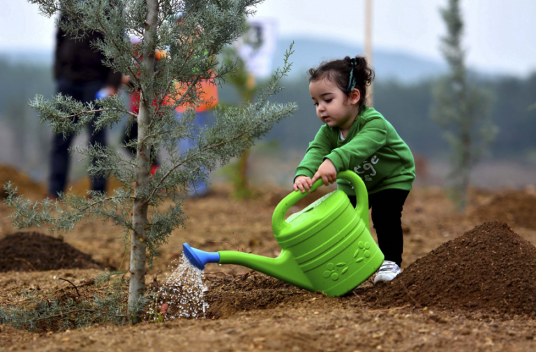 San Antonio Free Tree Program 2024 Lilia Patrica