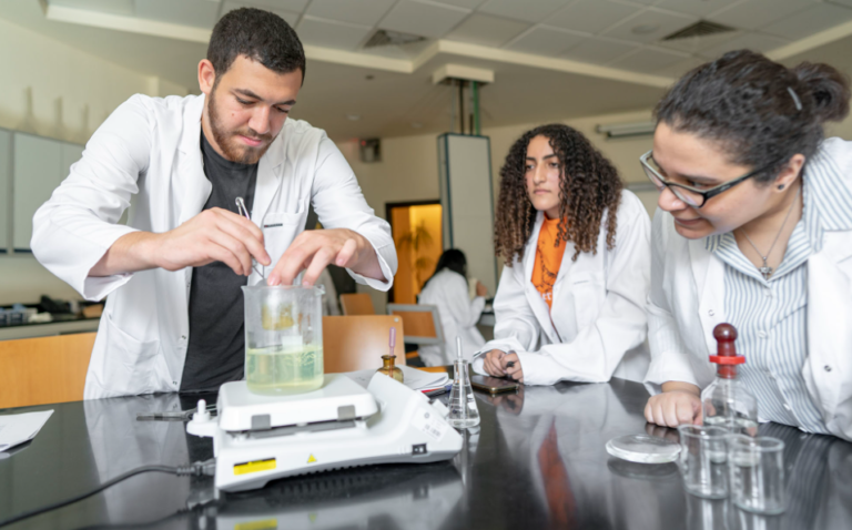 Top 7 Best Colleges For Chemistry In 2024 - College US